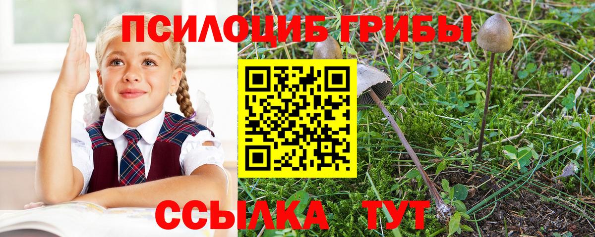 Псилоцибиновые грибы мухоморы  Галлюциногенные грибы мухоморы  Вход с VPN  Гусь-Хрустальный 