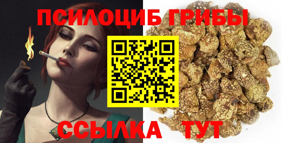 Псилоцибиновые грибы мухоморы Гусь-Хрустальный